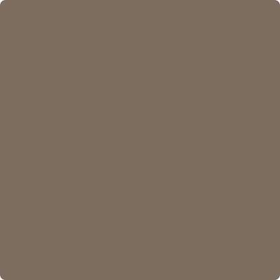 Shop HC-69 Whitall Brown by Benjamin Moore at Catalina Paint Stores. We are your local Los Angeles Benjmain Moore dealer.