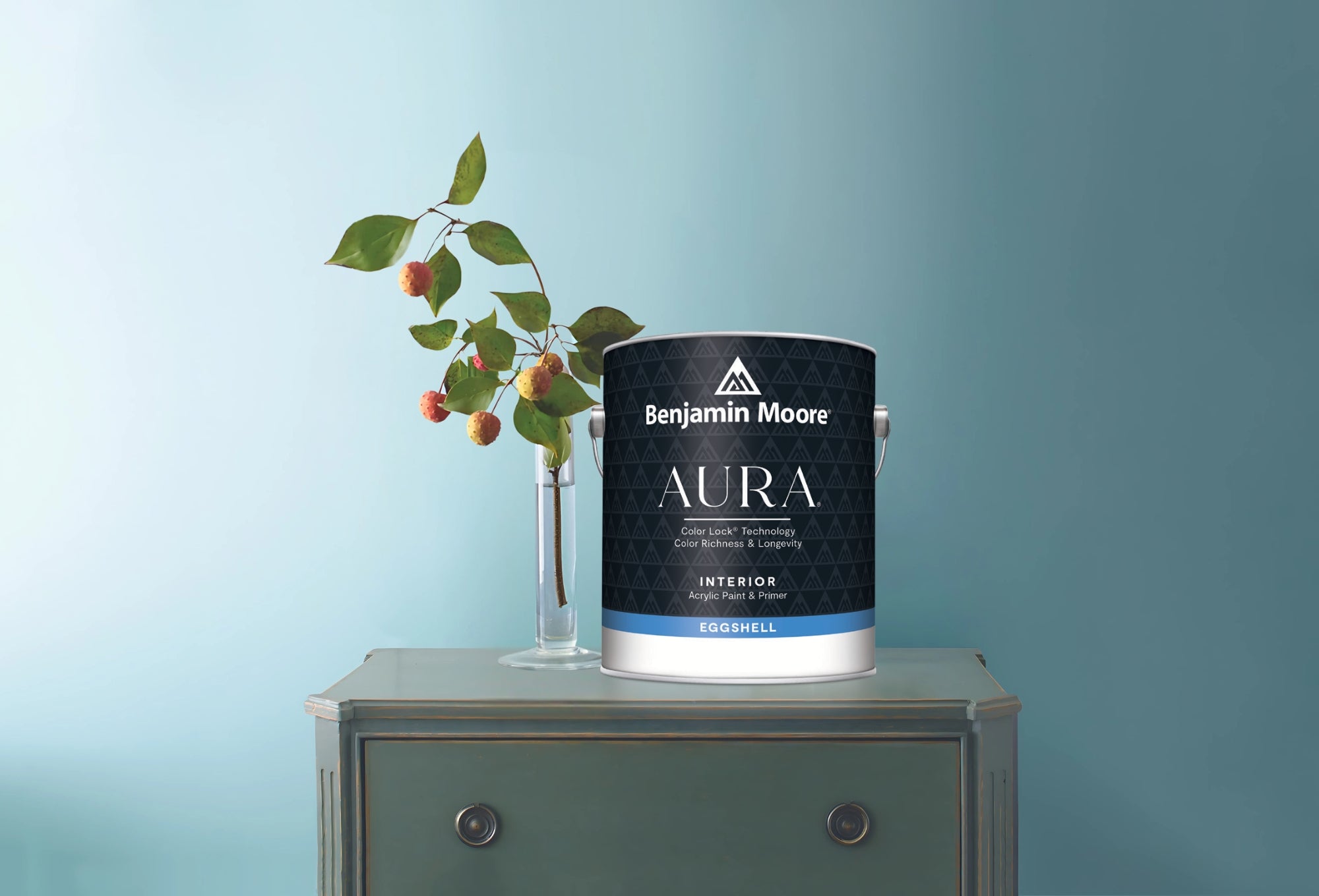 Revitalize Your Space with Benjamin Moore Aura