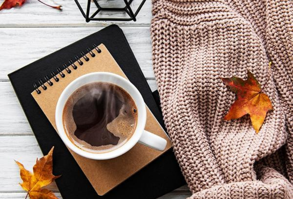 Shop Cozy Benjamin Moore Beiges at Catalina Paints