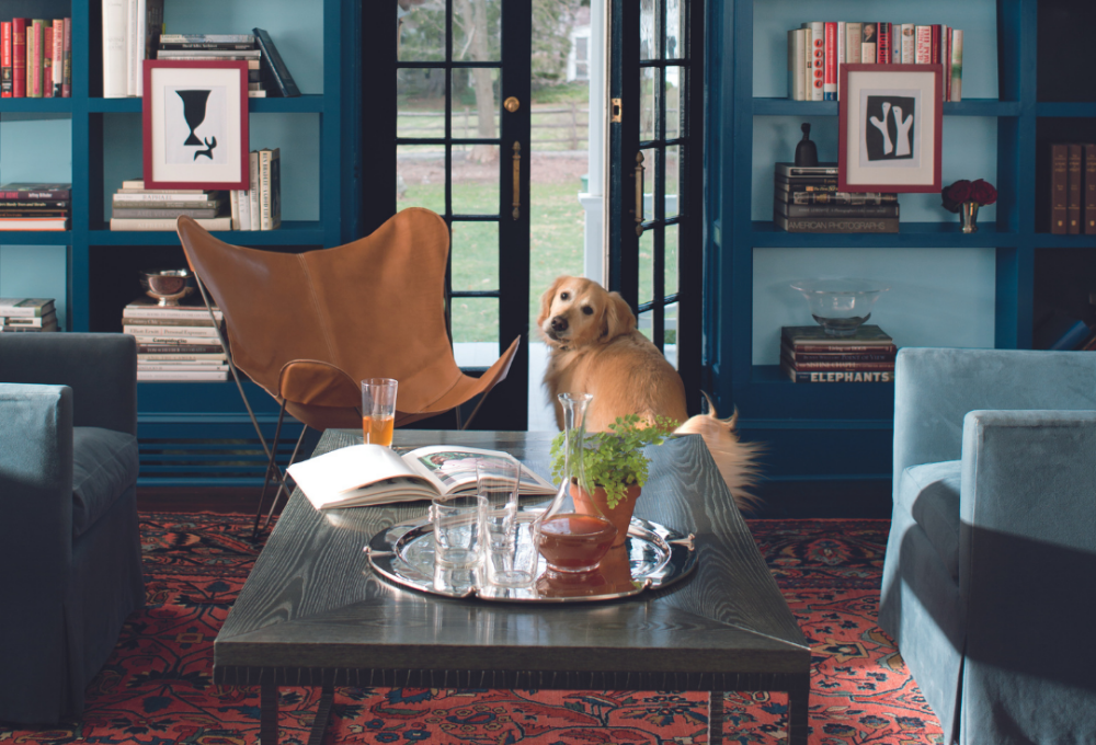 Catalina At Home Magazine-Fall 2020