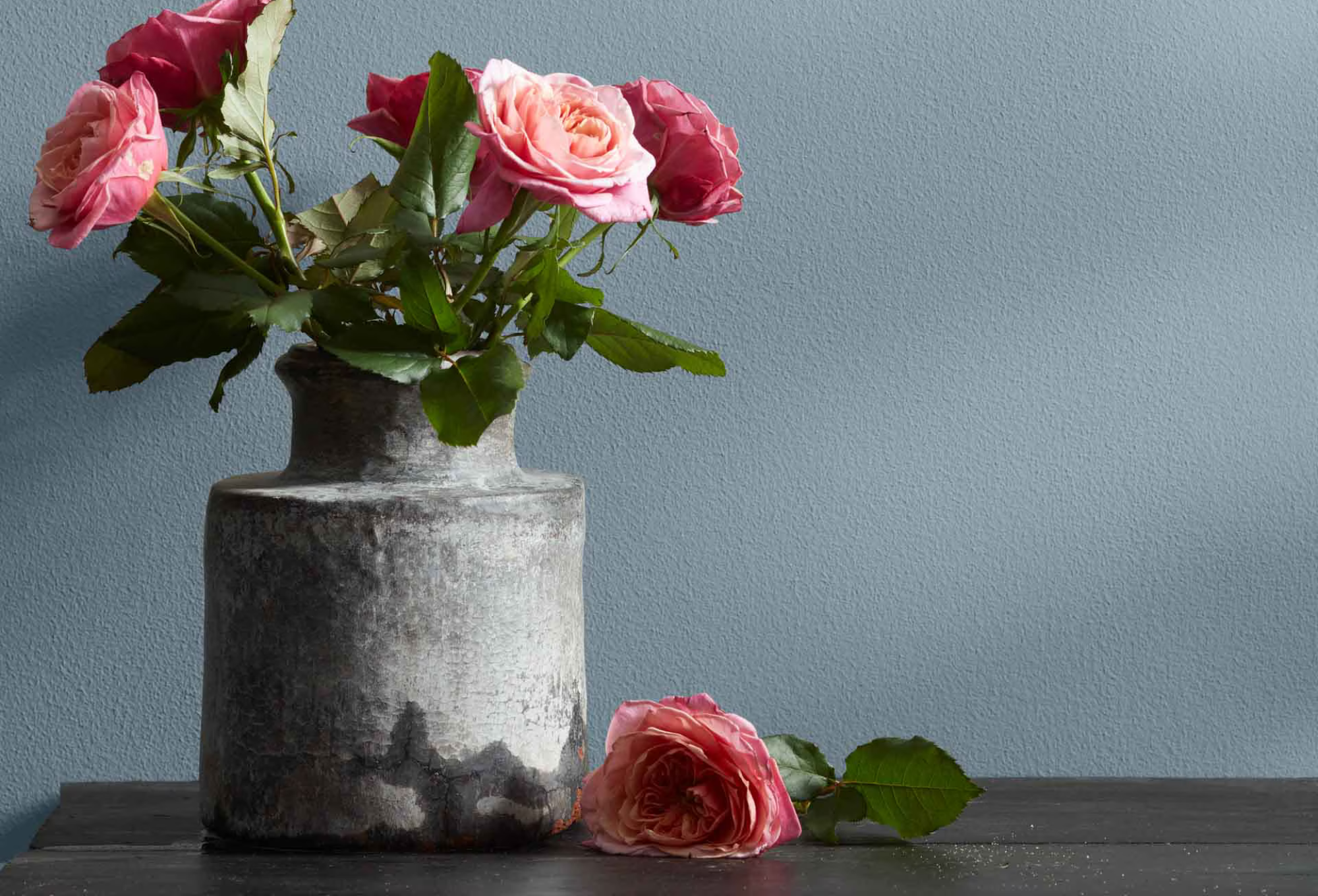 Winter Inspired Colors