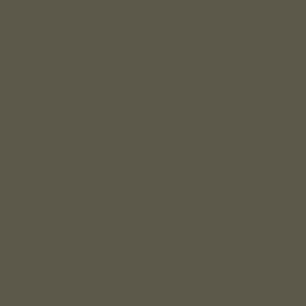 A dark, earthy green, Reduced Green by Farrow &amp; Ball, available at Catalina Paints in Greater Los Angeles.