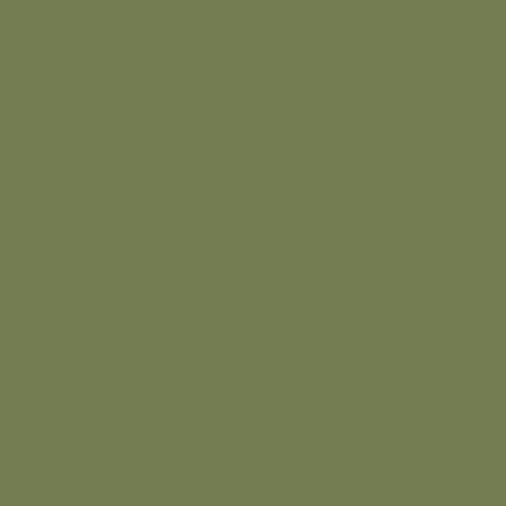 An earthy green, Sap Green by Farrow &amp; Ball, available at Catalina Paints in Greater Los Angeles.