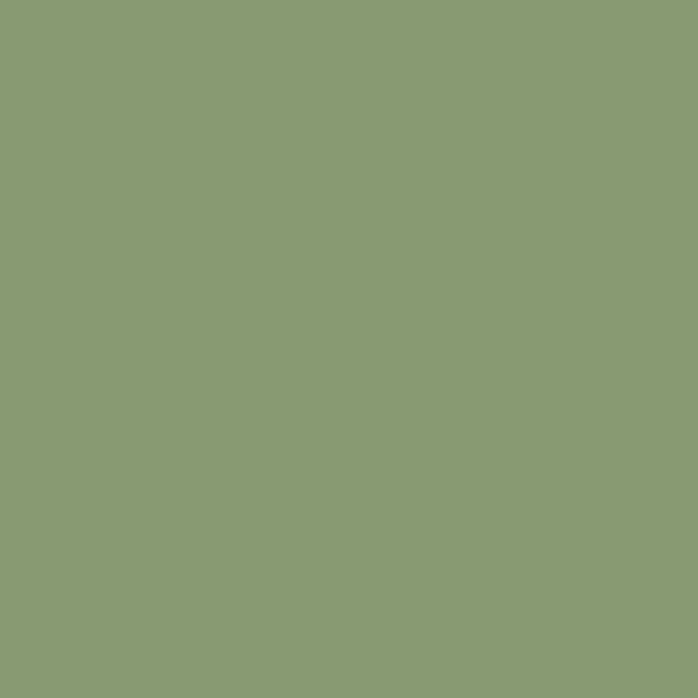 Yeabridge Green Farrow &amp; Ball, available at Catalina Paint in Greater Los Angeles.
