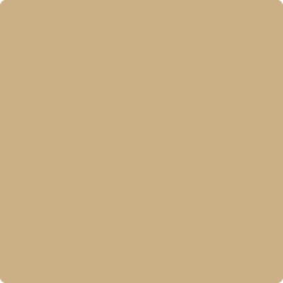 Shop 1096 Bridgewater Tan by Benjamin Moore at Catalina Paint Stores. We are your local Los Angeles Benjmain Moore dealer.