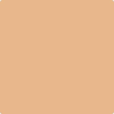 Shop 117 Persian Melon by Benjamin Moore at Catalina Paint Stores. We are your local Los Angeles Benjmain Moore dealer.