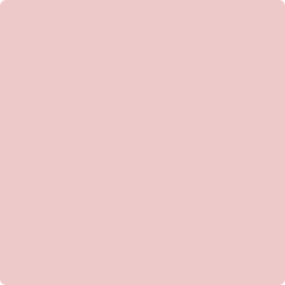 Shop 1276 Petunia Pink by Benjamin Moore at Catalina Paint Stores. We are your local Los Angeles Benjmain Moore dealer.