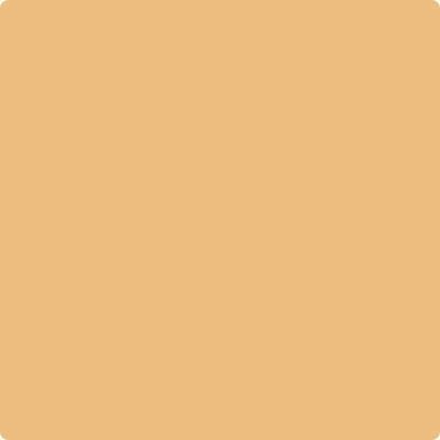 Shop 166 Orange Ice by Benjamin Moore at Catalina Paint Stores. We are your local Los Angeles Benjmain Moore dealer.