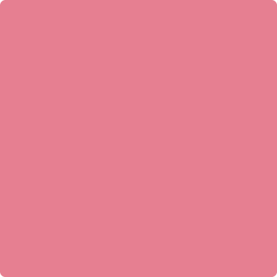 Shop 2004-40 Pink Starburst by Benjamin Moore at Catalina Paint Stores. We are your local Los Angeles Benjmain Moore dealer.