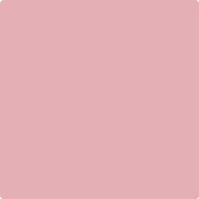 Shop 2005-50 Pink Eraser by Benjamin Moore at Catalina Paint Stores. We are your local Los Angeles Benjmain Moore dealer.