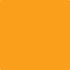 2015-10 Electric Orange - Paint Color