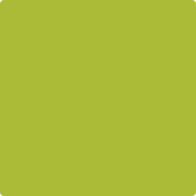 Shop 2027-20 Spring Moss by Benjamin Moore at Catalina Paint Stores. We are your local Los Angeles Benjmain Moore dealer.