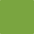 Shop 2028-10 Iguana Green by Benjamin Moore at Catalina Paint Stores. We are your local Los Angeles Benjmain Moore dealer.