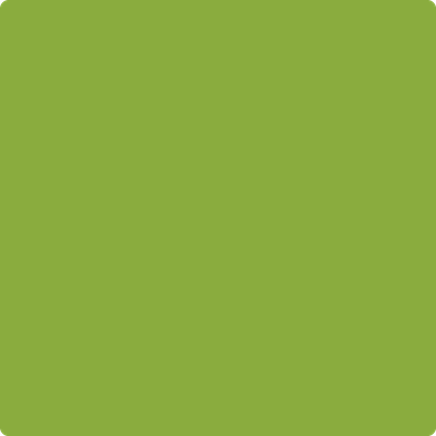 Shop 2028-20 Douglas Fir by Benjamin Moore at Catalina Paint Stores. We are your local Los Angeles Benjmain Moore dealer.