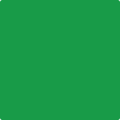 Shop 2032-10 Neon Green by Benjamin Moore at Catalina Paint Stores. We are your local Los Angeles Benjmain Moore dealer.