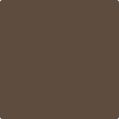 2108-10 Ferret Brown by Benjamin Moore - Catalina Paints