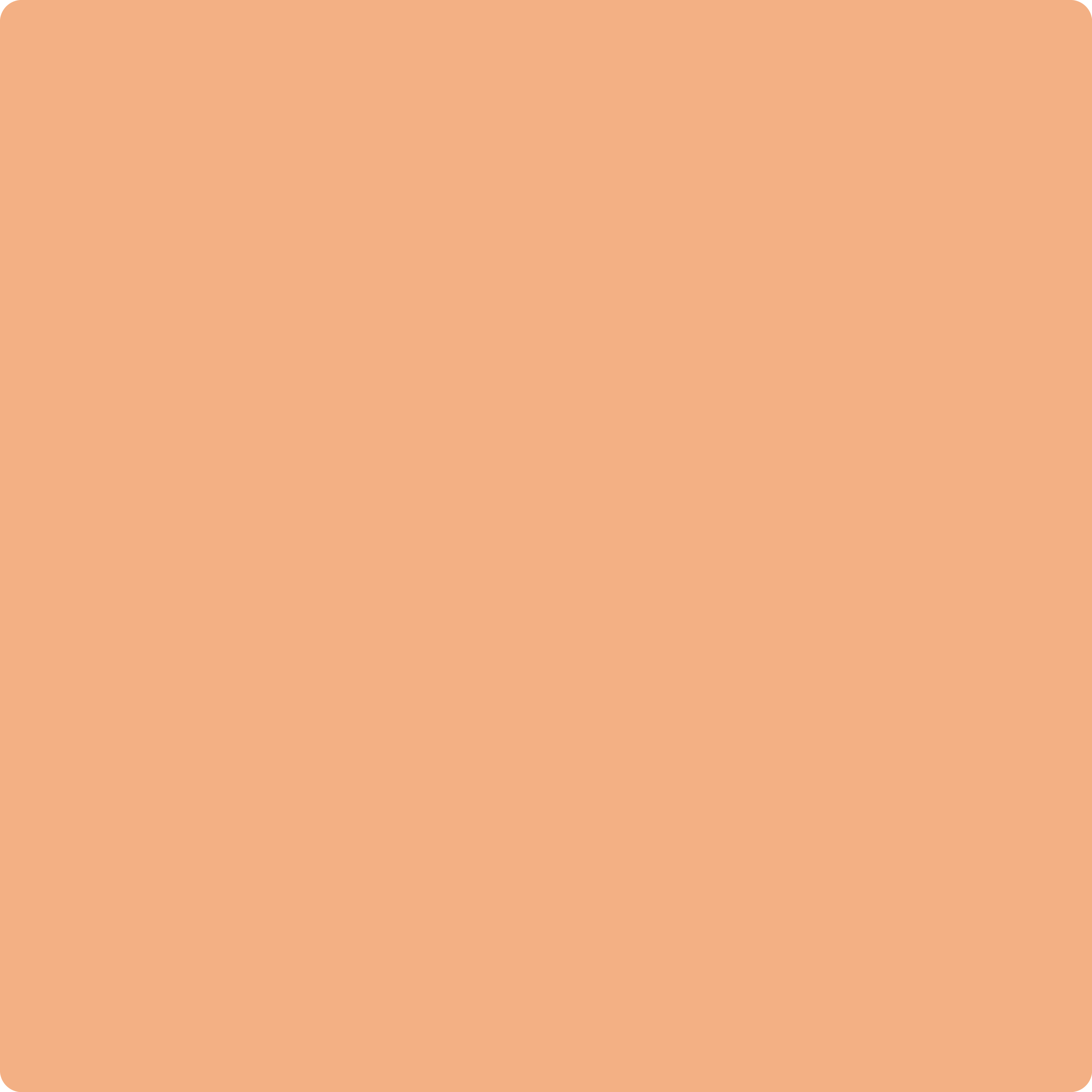 2167-40 Toffee Orange by Benjamin Moore - Catalina Paints