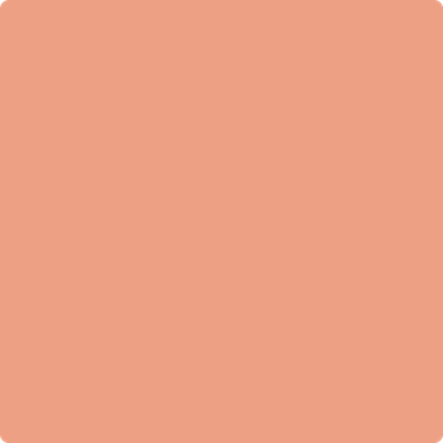 Shop 2170-40 Coral Spice by Benjamin Moore at Catalina Paint Stores. We are your local Los Angeles Benjmain Moore dealer.
