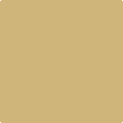 Shop 222 Mustard Seed by Benjamin Moore at Catalina Paint Stores. We are your local Los Angeles Benjmain Moore dealer.