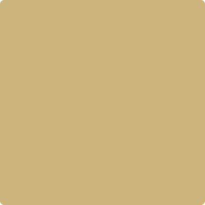 Shop 256 Westwood Tan by Benjamin Moore at Catalina Paint Stores. We are your local Los Angeles Benjmain Moore dealer.