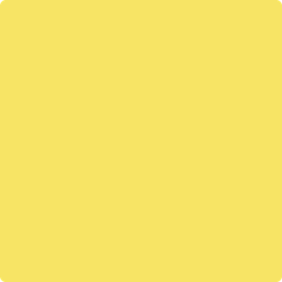 Shop 335 Delightful Yellow by Benjamin Moore at Catalina Paint Stores. We are your local Los Angeles Benjmain Moore dealer.