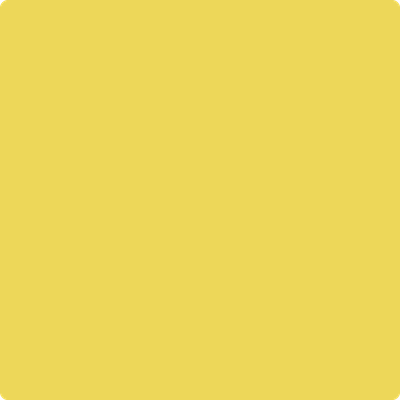 Shop 355 Majestic Yellow by Benjamin Moore at Catalina Paint Stores. We are your local Los Angeles Benjmain Moore dealer.