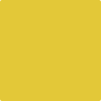 Shop 357 Yellow Hibiscus by Benjamin Moore at Catalina Paint Stores. We are your local Los Angeles Benjmain Moore dealer.