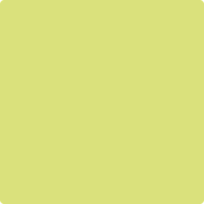 Shop 396 Chic Lime by Benjamin Moore at Catalina Paint Stores. We are your local Los Angeles Benjmain Moore dealer.