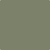 Shop 475 Galapagos Green by Benjamin Moore at Catalina Paint Stores. We are your local Los Angeles Benjmain Moore dealer.