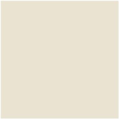 Shop CSP-215 Cake Batter by Benjamin Moore at Catalina Paint Stores. We are your local Los Angeles Benjmain Moore dealer.