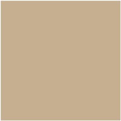 Shop HC-44 Lenox Tan by Benjamin Moore at Catalina Paint Stores. We are your local Los Angeles Benjmain Moore dealer.