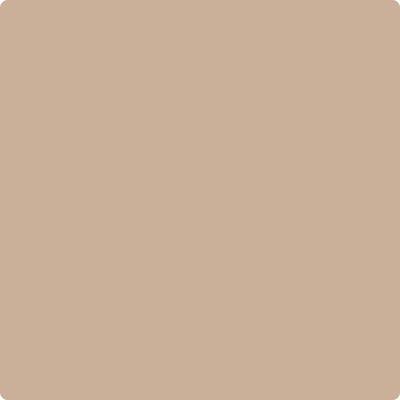 Shop CC-366 Nubuck by Benjamin Moore at Catalina Paint Stores. We are your local Los Angeles Benjmain Moore dealer.
