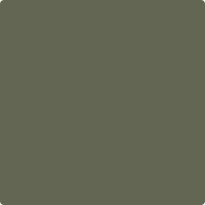 Shop CC-570 Forest Floor by Benjamin Moore at Catalina Paint Stores. We are your local Los Angeles Benjmain Moore dealer.