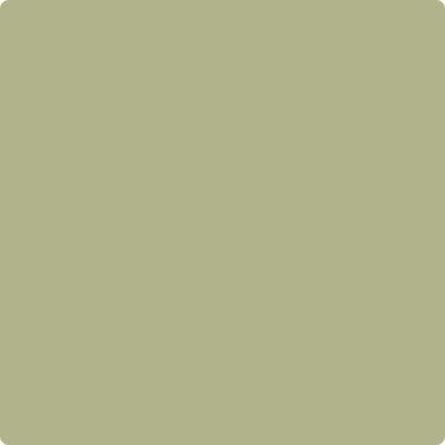 Shop CC-590 Grasslands by Benjamin Moore at Catalina Paint Stores. We are your local Los Angeles Benjmain Moore dealer.