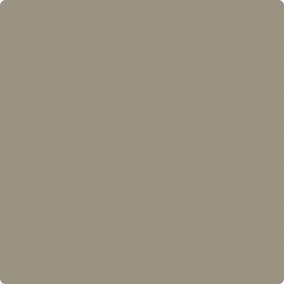 Shop CC-696 Taiga by Benjamin Moore at Catalina Paint Stores. We are your local Los Angeles Benjmain Moore dealer.