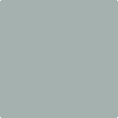 Shop CC-720 Night Train by Benjamin Moore at Catalina Paint Stores. We are your local Los Angeles Benjmain Moore dealer.