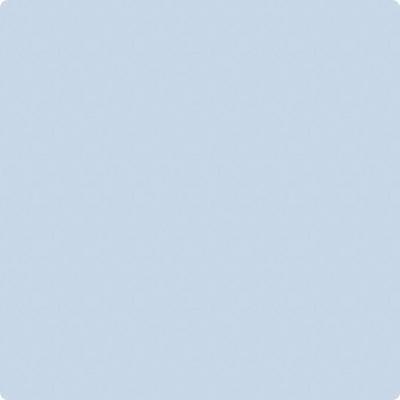 Shop CC-938 Ice Sculpture by Benjamin Moore at Catalina Paint Stores. We are your local Los Angeles Benjmain Moore dealer.