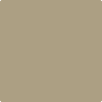 Shop CSP-1040 Shiitake Mushroom by Benjamin Moore at Catalina Paint Stores. We are your local Los Angeles Benjmain Moore dealer.