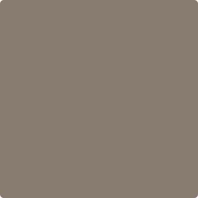 Shop CSP-195 Porcini by Benjamin Moore at Catalina Paint Stores. We are your local Los Angeles Benjmain Moore dealer.