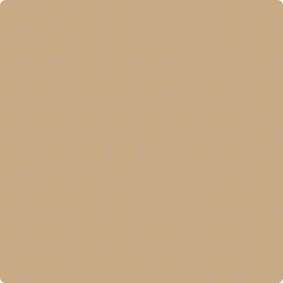 Shop CSP-285 Camel Hair by Benjamin Moore at Catalina Paint Stores. We are your local Los Angeles Benjmain Moore dealer.