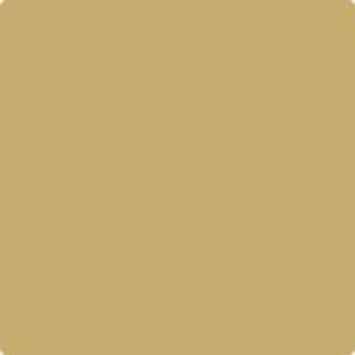 Shop HC-14 Princeton Gold by Benjamin Moore at Catalina Paint Stores. We are your local Los Angeles Benjmain Moore dealer.